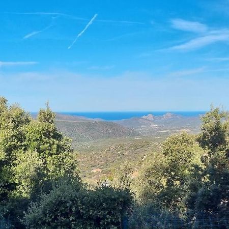 Vos Vacances A Lama France Corse Luaran gambar
