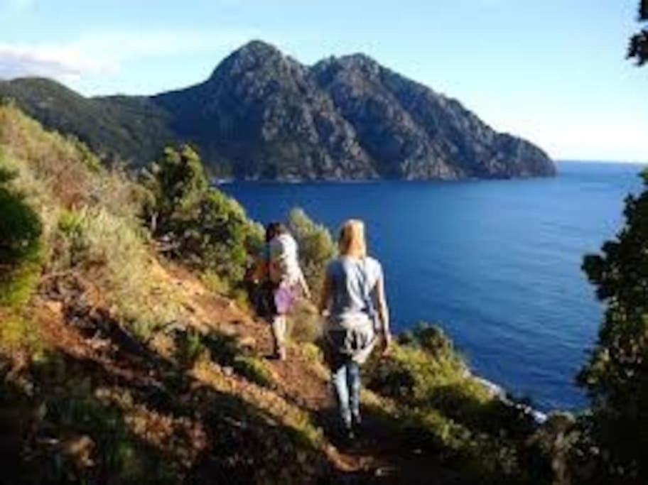 Vos Vacances A Lama France Corse Luaran gambar
